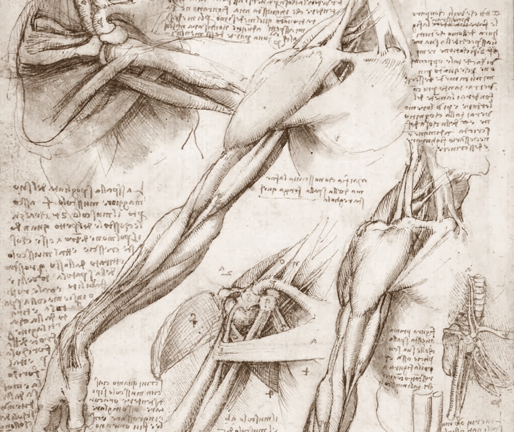 Leonardo+da+Vinci-1452-1519 (941).jpg